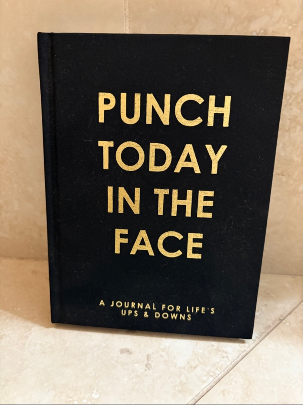 Punch Today in the Face Black & Gold Motivational Journal